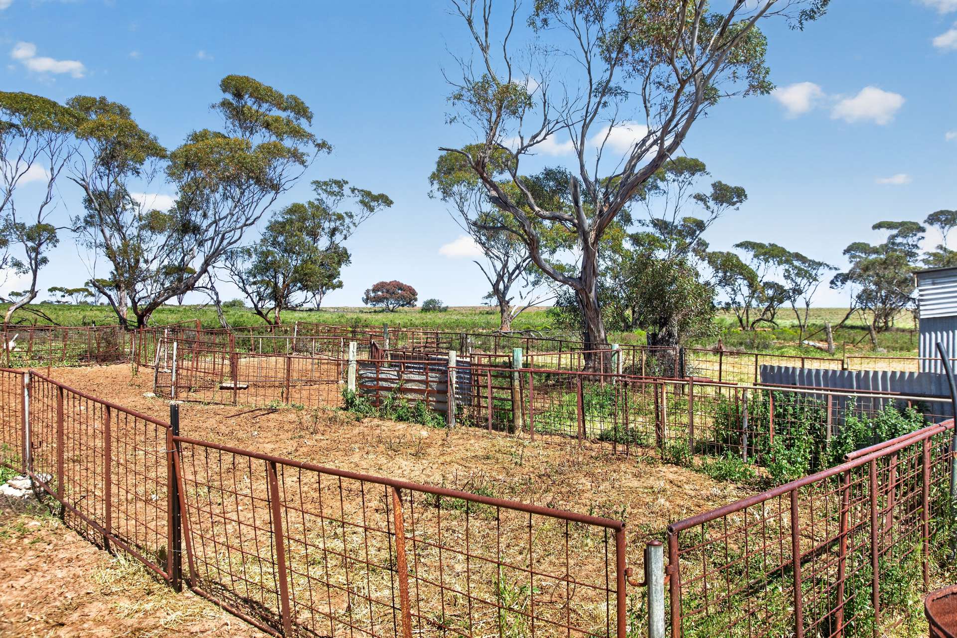 752 Greenways Road, Nildottie Auction by Farmbuy.com - image 13