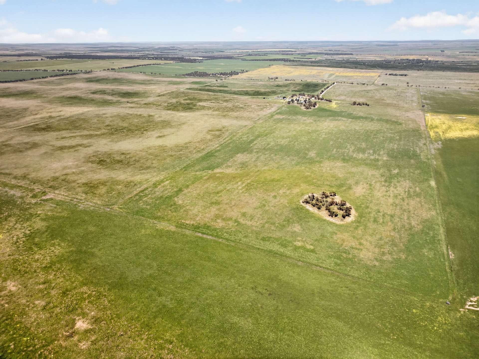 752 Greenways Road, Nildottie Auction by Farmbuy.com - image 3