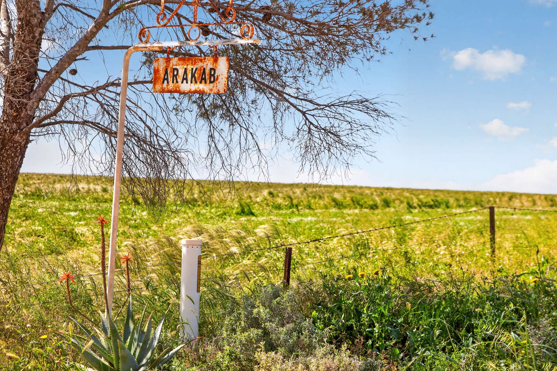 752 Greenways Road, Nildottie Auction by Farmbuy.com - image 1