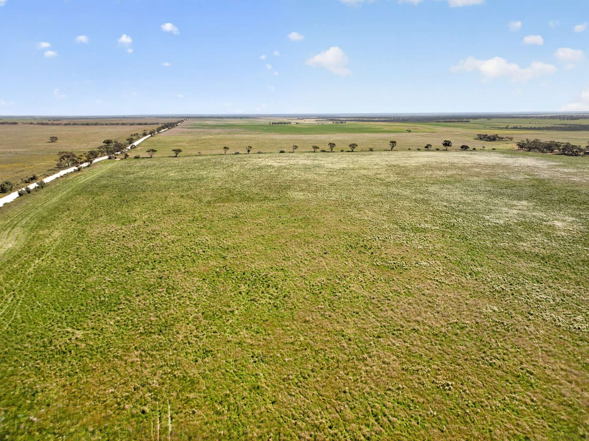 752 Greenways Road, Nildottie Auction by Farmbuy.com - image 7