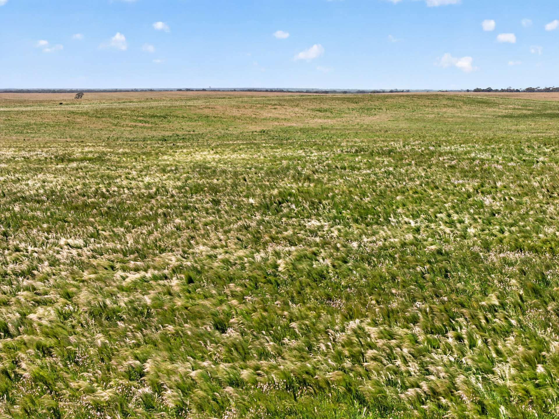 752 Greenways Road, Nildottie Auction by Farmbuy.com - image 24