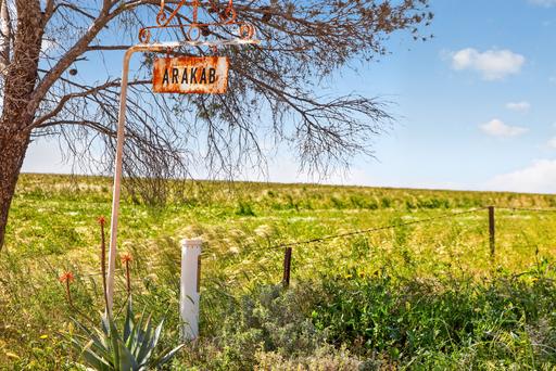 Farm Auction - SA - Nildottie - 5238 - 'Arakab' - 2,207 Acre Broadacre Enterprise 