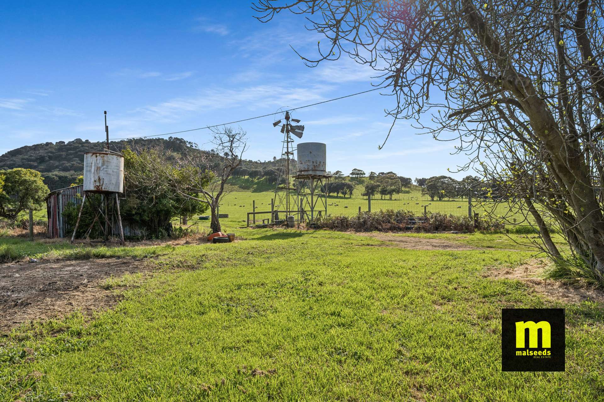 137 Post Office Road, Mount Schank For Sale by Farmbuy.com - image 19