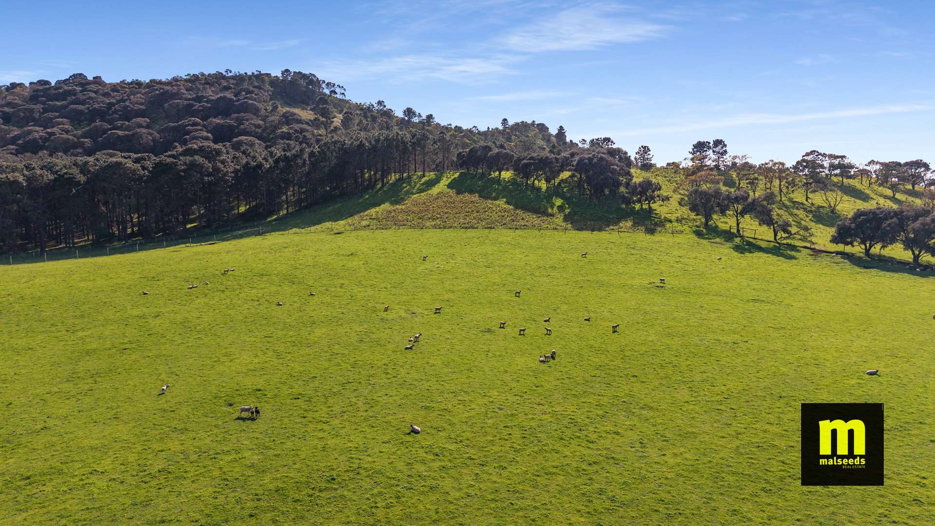 137 Post Office Road, Mount Schank For Sale by Farmbuy.com - image 16