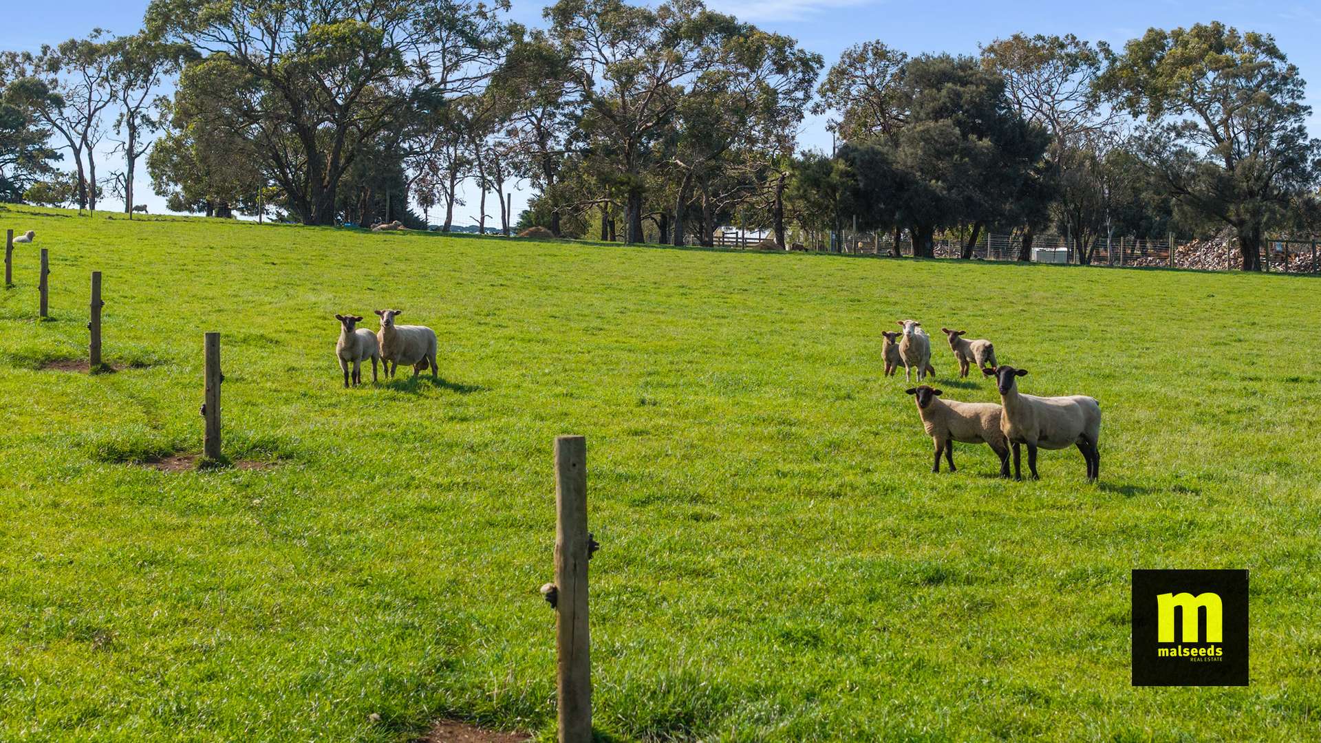 137 Post Office Road, Mount Schank For Sale by Farmbuy.com - image 20