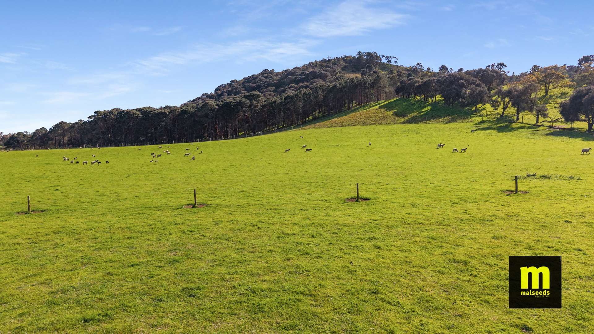 137 Post Office Road, Mount Schank For Sale by Farmbuy.com - image 17