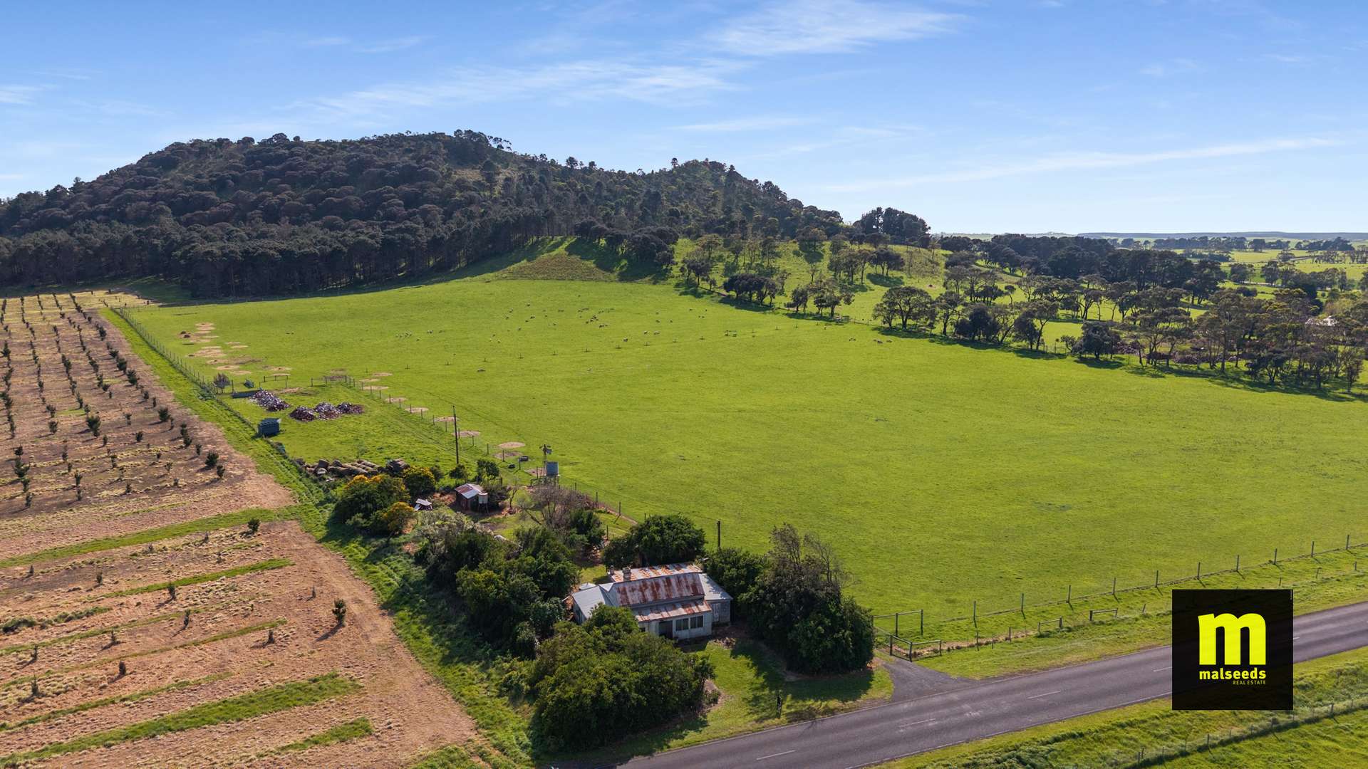 137 Post Office Road, Mount Schank For Sale by Farmbuy.com - image 22