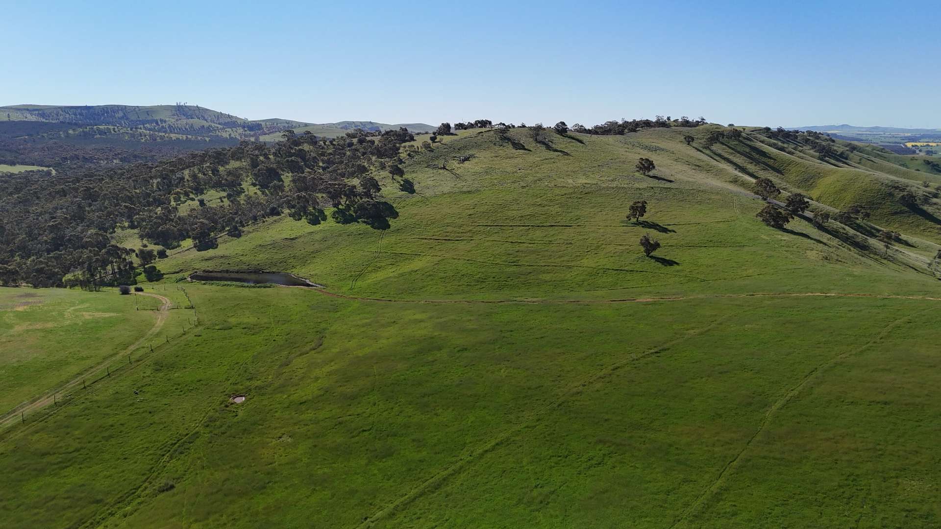 'Hillside' 395 Campbell Range Road, Washpool For Sale by Farmbuy.com - image 15
