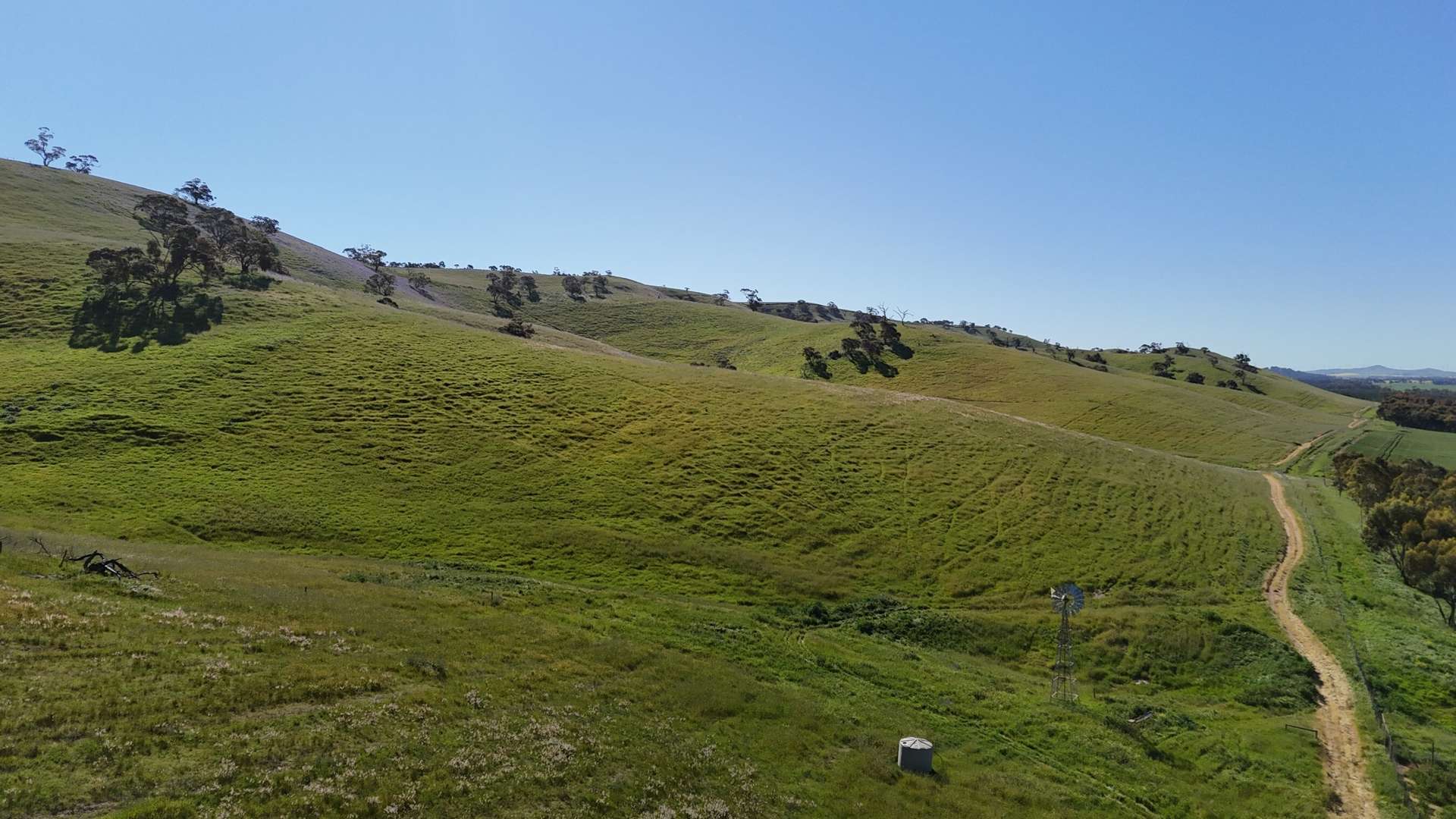 'Hillside' 395 Campbell Range Road, Washpool For Sale by Farmbuy.com - image 4