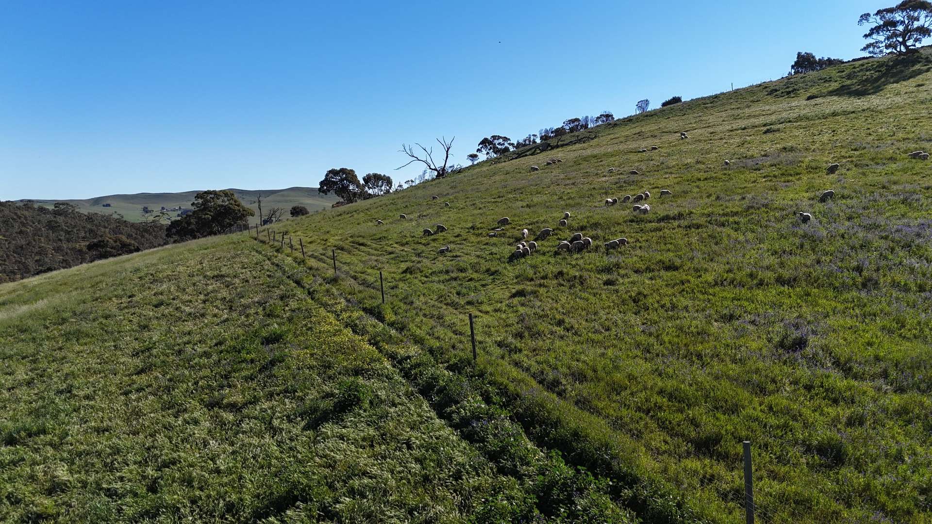 'Hillside' 395 Campbell Range Road, Washpool For Sale by Farmbuy.com - image 19