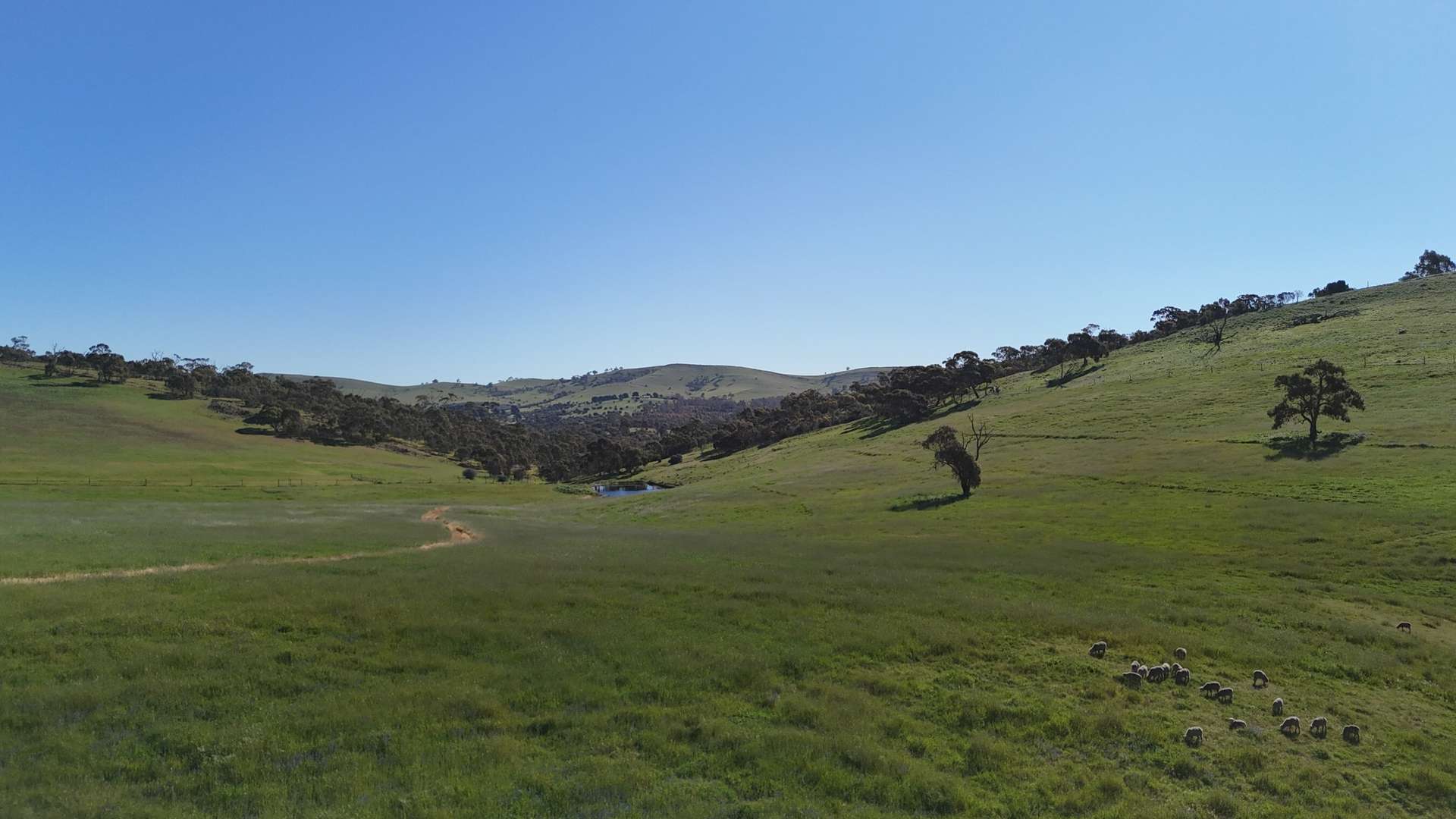 'Hillside' 395 Campbell Range Road, Washpool For Sale by Farmbuy.com - image 12