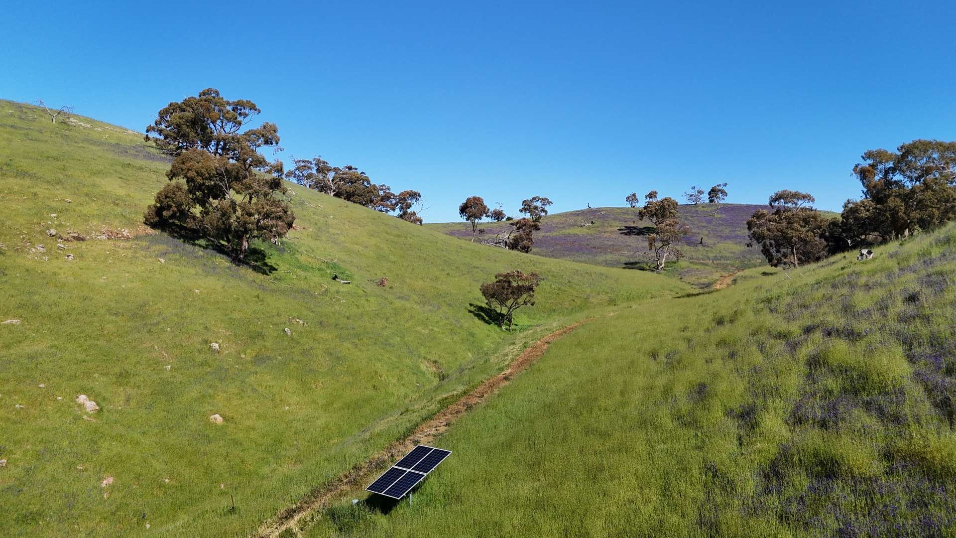'Hillside' 395 Campbell Range Road, Washpool For Sale by Farmbuy.com - image 9