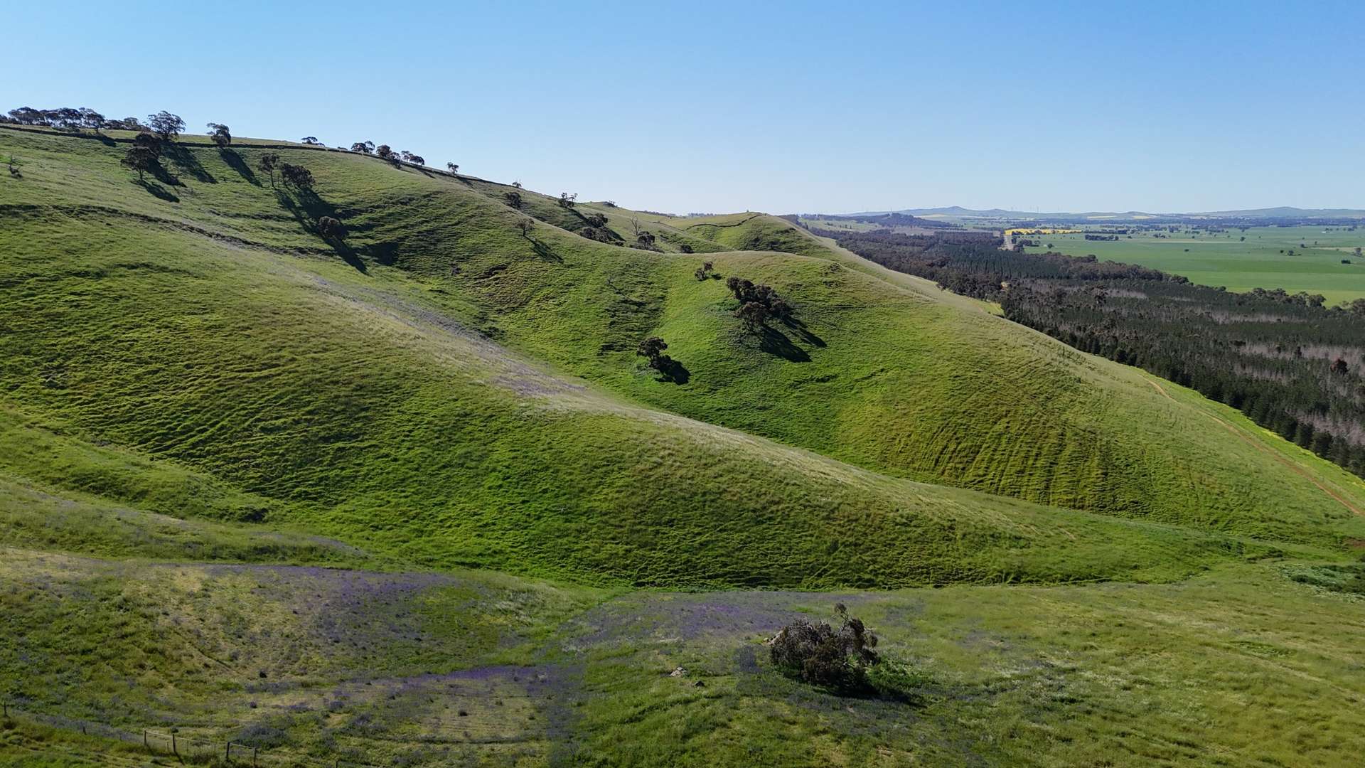 'Hillside' 395 Campbell Range Road, Washpool For Sale by Farmbuy.com - image 11
