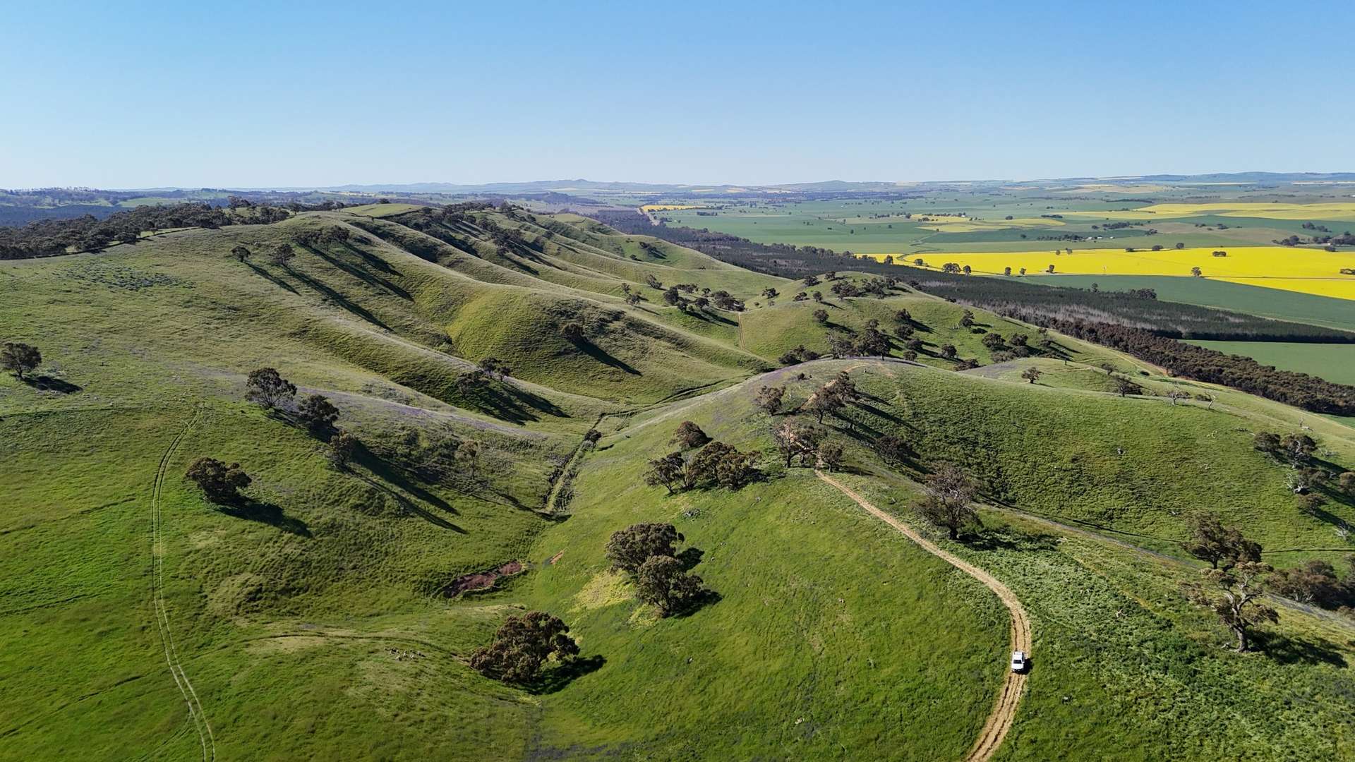 'Hillside' 395 Campbell Range Road, Washpool For Sale by Farmbuy.com - image 18