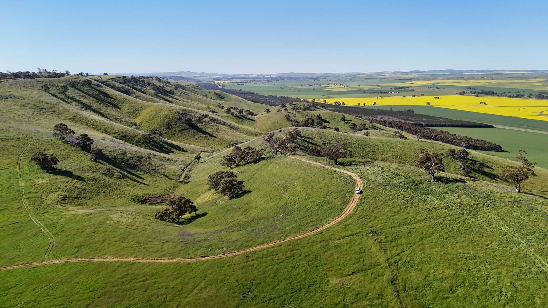 'Hillside' 395 Campbell Range Road, Washpool For Sale by Farmbuy.com - image 17