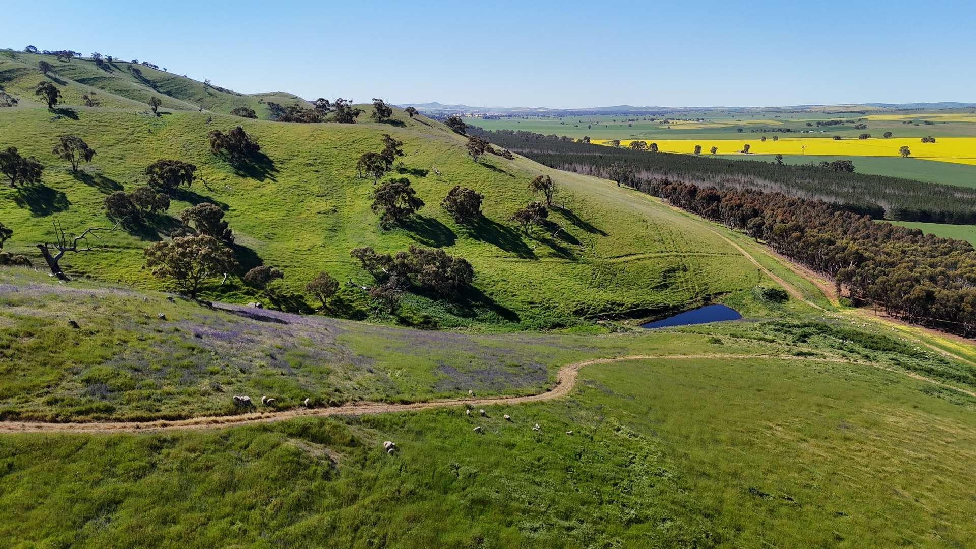 'Hillside' 395 Campbell Range Road, Washpool For Sale by Farmbuy.com - image 7
