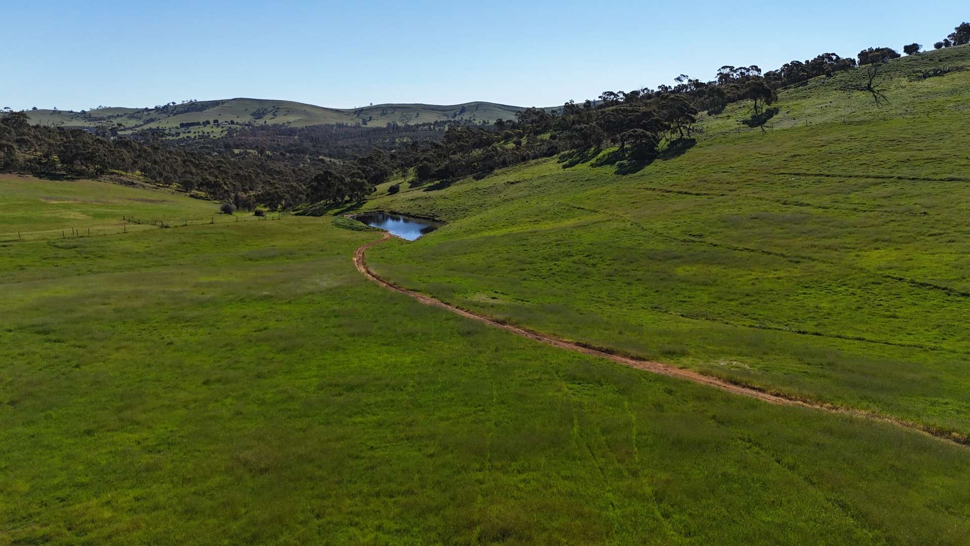 'Hillside' 395 Campbell Range Road, Washpool For Sale by Farmbuy.com - image 14