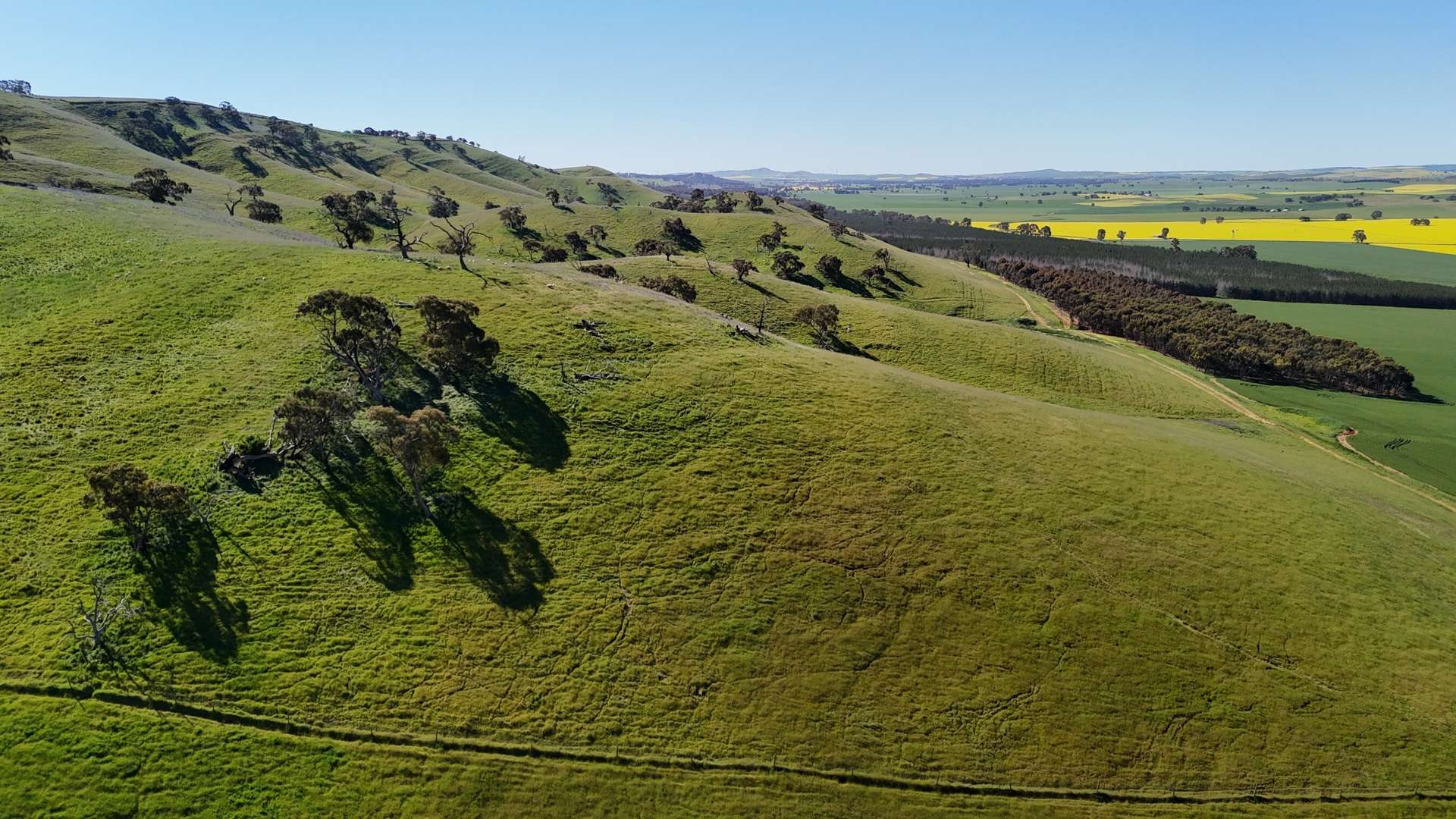 'Hillside' 395 Campbell Range Road, Washpool For Sale by Farmbuy.com - image 5
