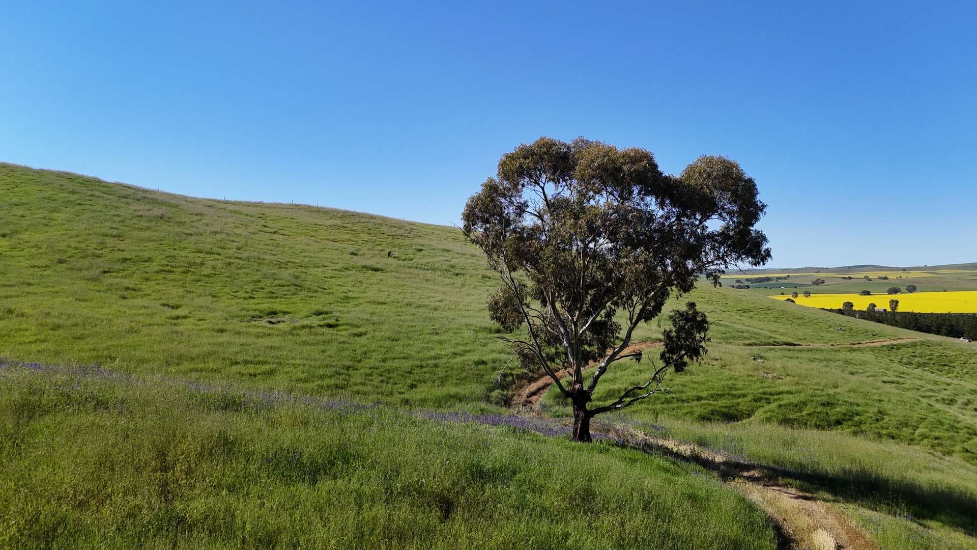 'Hillside' 395 Campbell Range Road, Washpool For Sale by Farmbuy.com - image 10