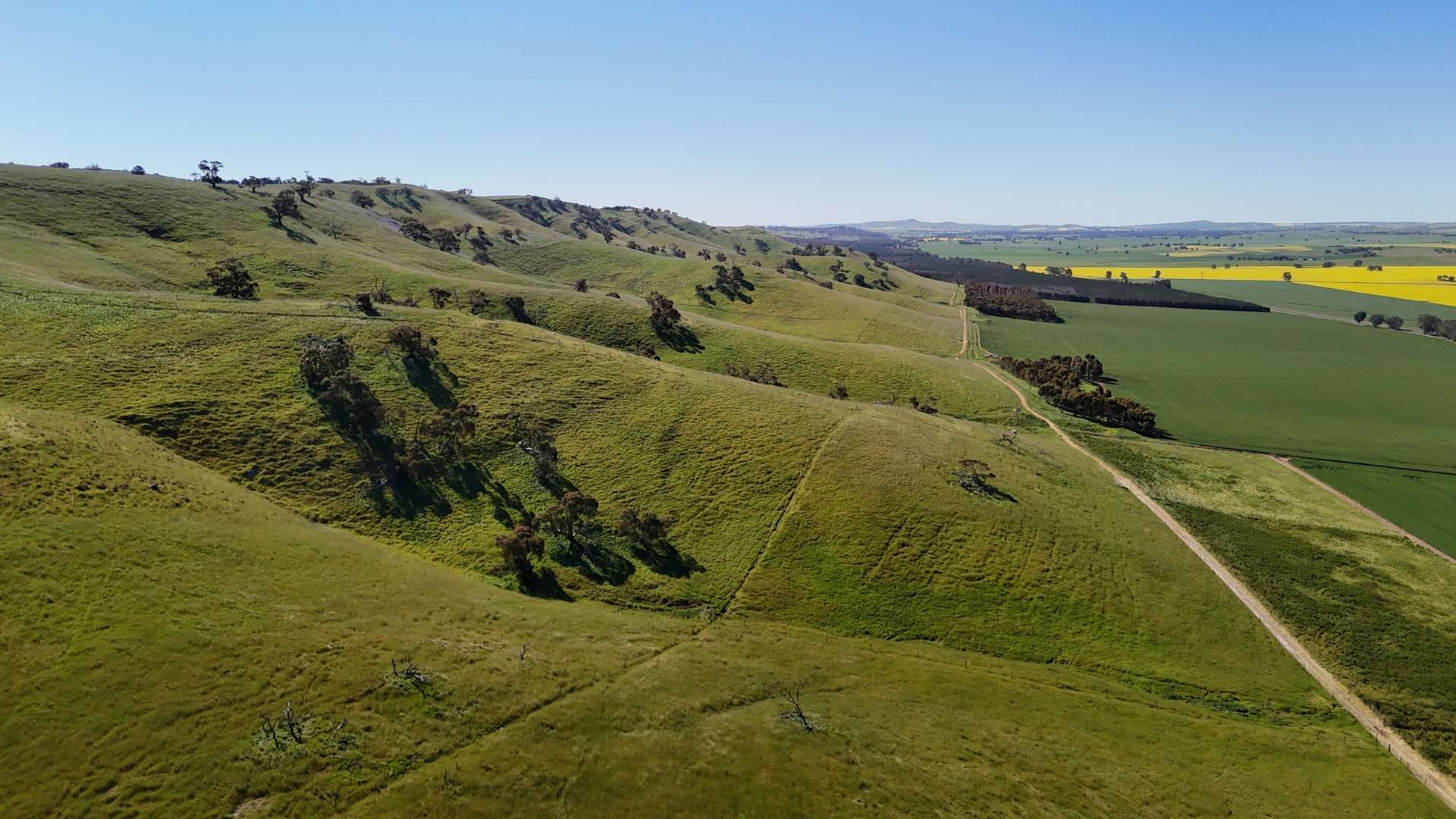 'Hillside' 395 Campbell Range Road, Washpool For Sale by Farmbuy.com - image 3