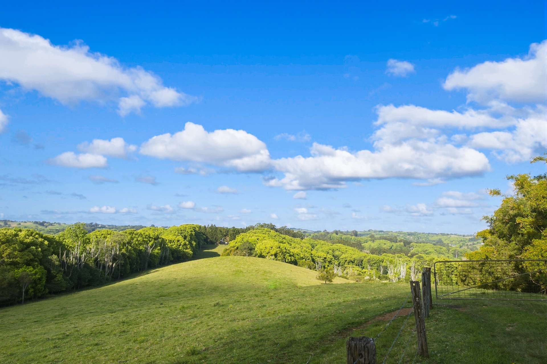 716 Binna Burra Road, Federal For Sale by Farmbuy.com - image 6