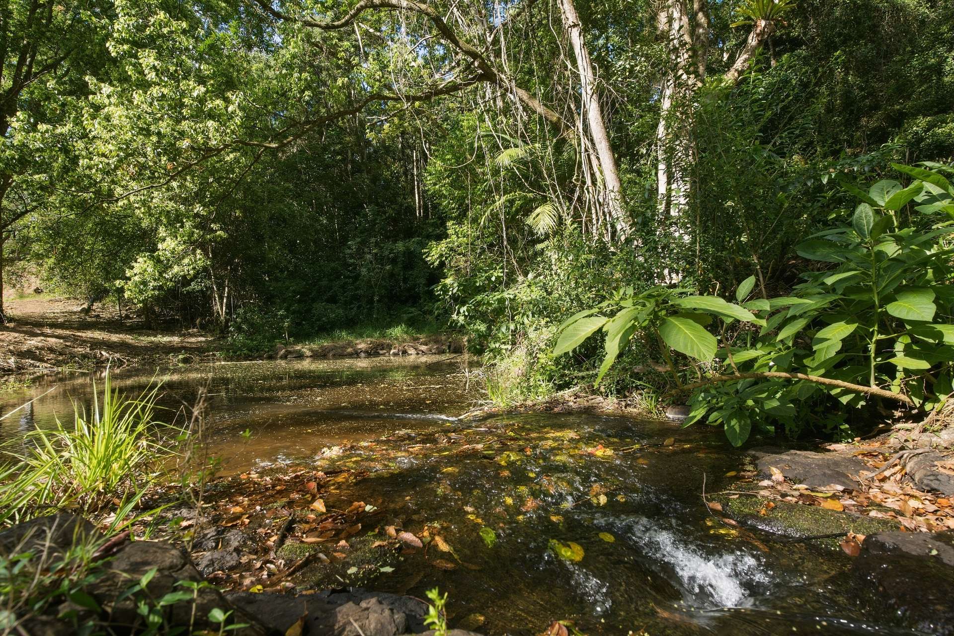 716 Binna Burra Road, Federal For Sale by Farmbuy.com - image 3