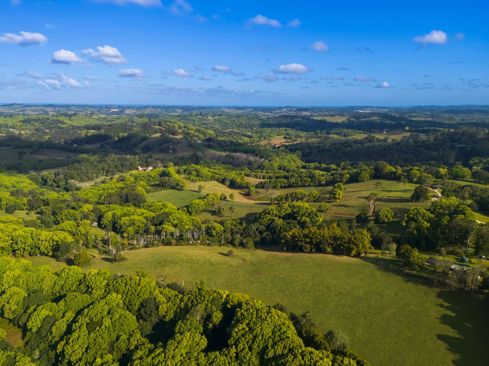 716 Binna Burra Road, Federal For Sale by Farmbuy.com - image 8
