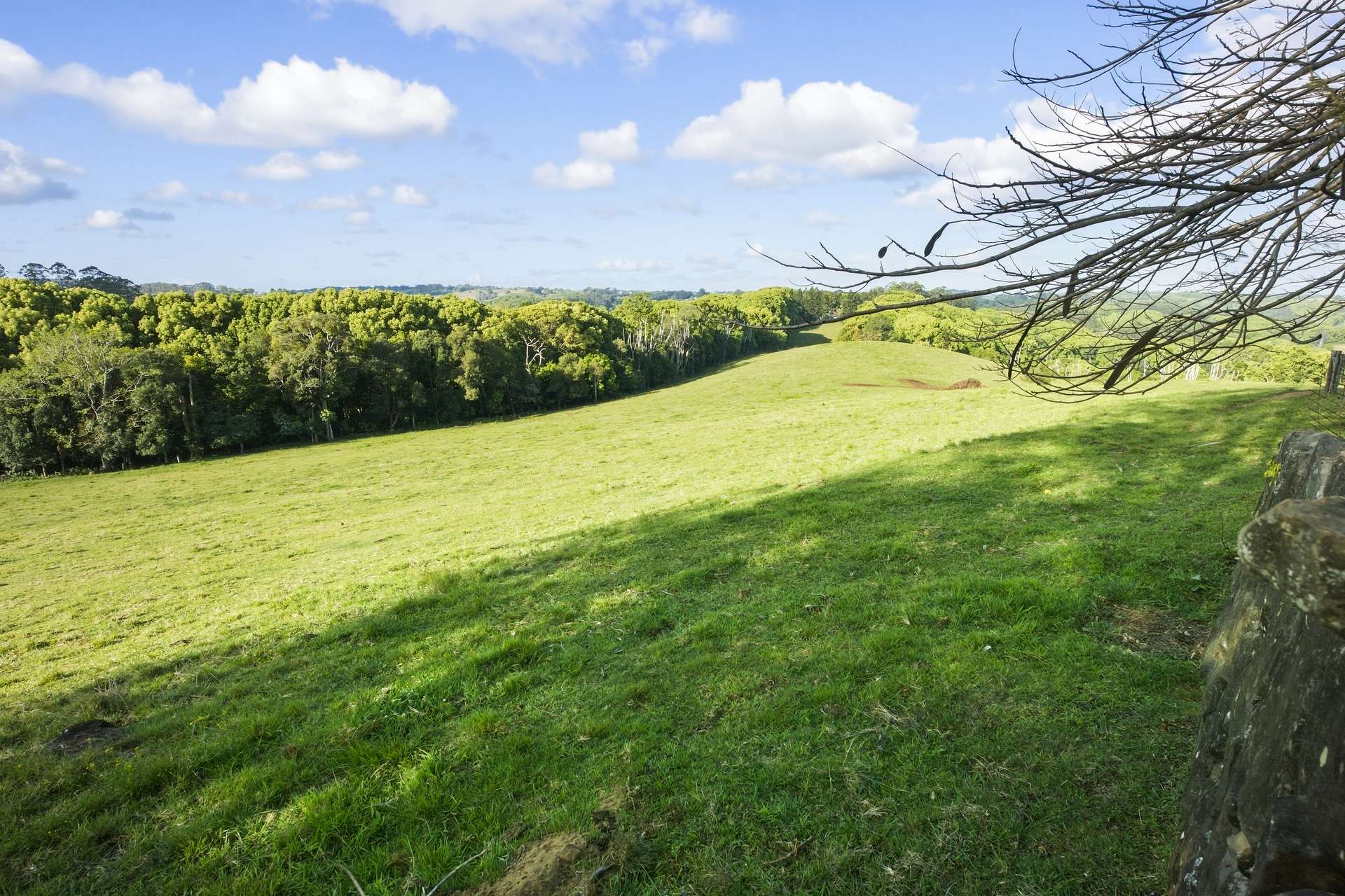 716 Binna Burra Road, Federal For Sale by Farmbuy.com - image 7