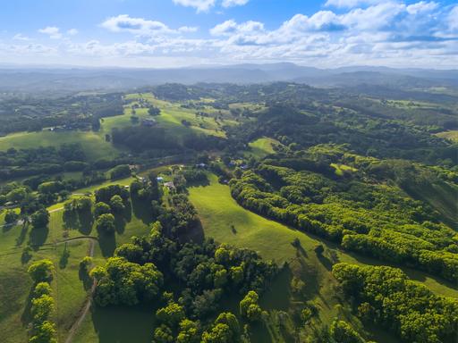 Farm For Sale - NSW - Federal - 2480 - After 40 Years - " It's Time To Go" 