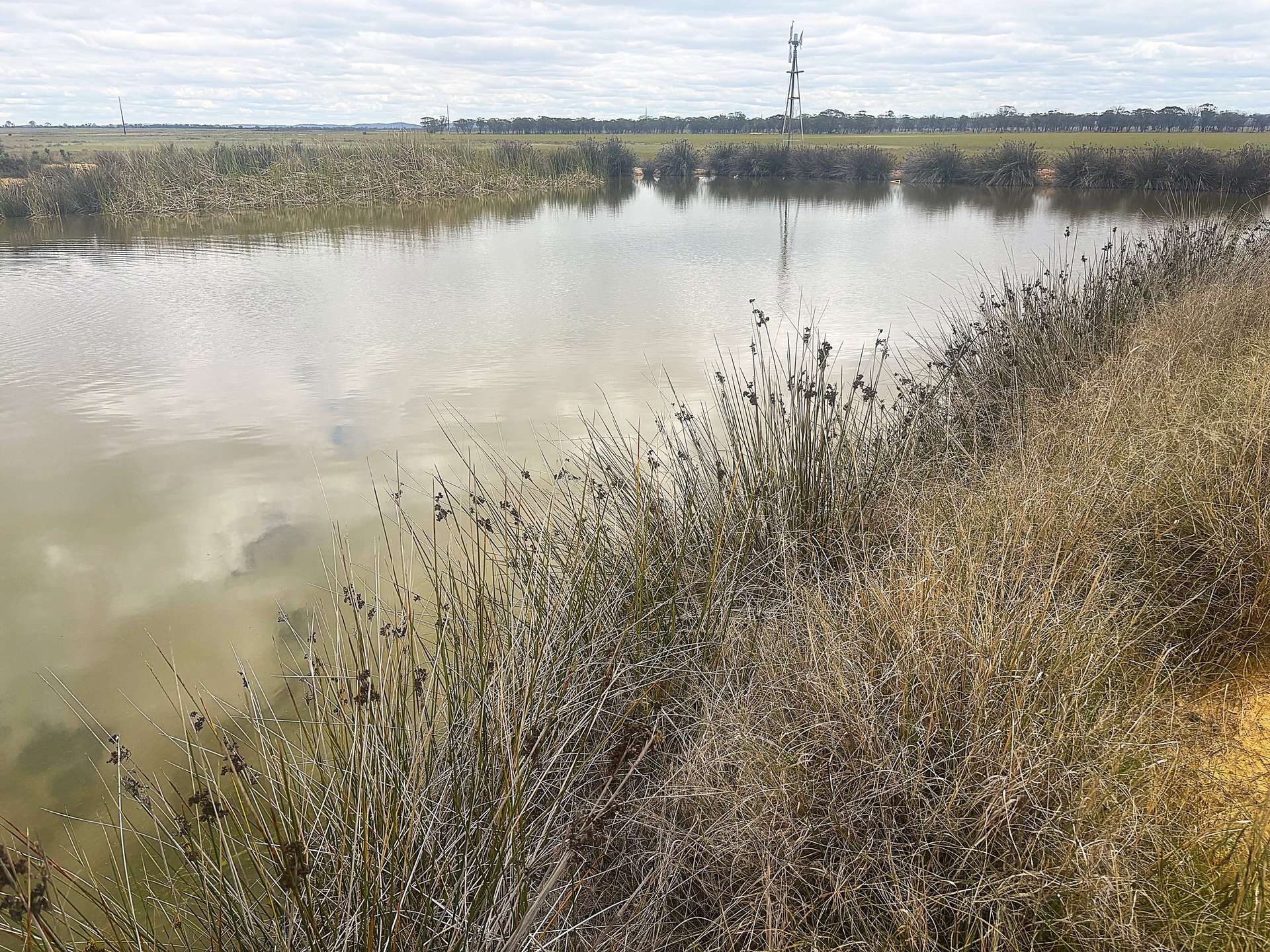 . 'Evandale', Kellerberrin For Sale by Farmbuy.com - image 2