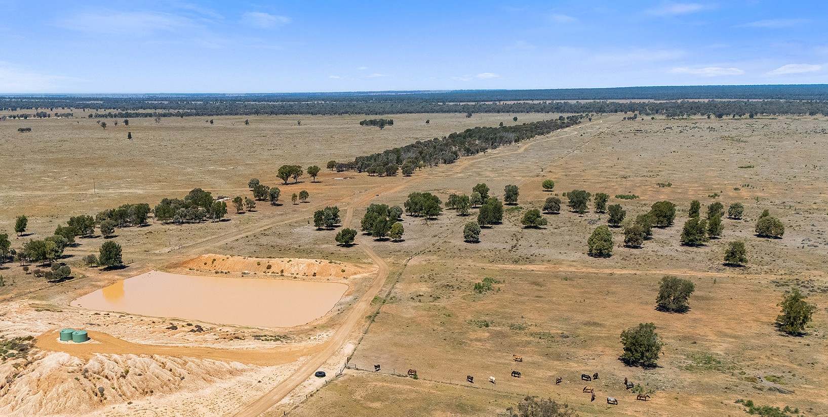 CHERRY PARK 300 GRILLS ROAD, Flinton Auction by Farmbuy.com - image 8