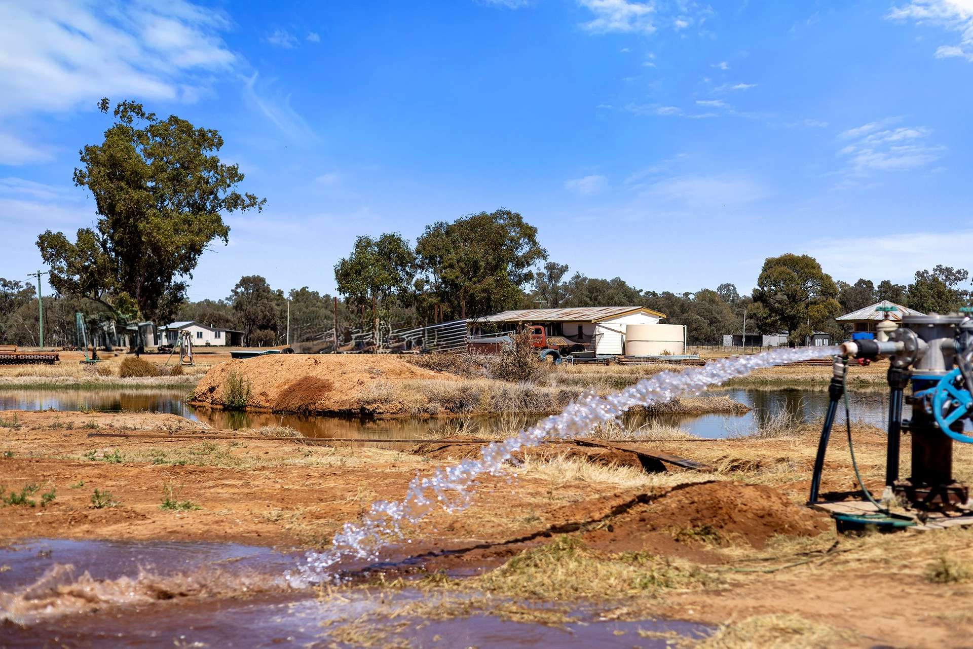 CHERRY PARK 300 GRILLS ROAD, Flinton Auction by Farmbuy.com - image 16