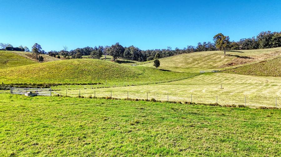 Bellingen Auction by Farmbuy.com - image 20