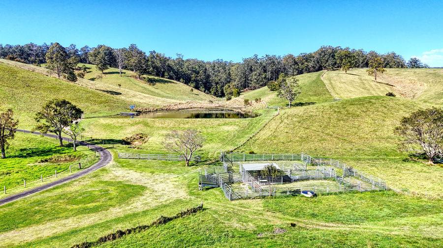 Bellingen Auction by Farmbuy.com - image 18
