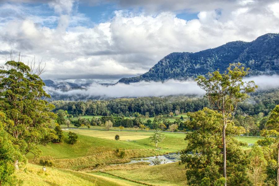 Bellingen Auction by Farmbuy.com - image 23