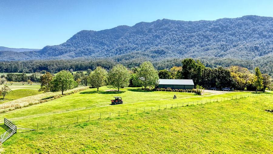 Bellingen Auction by Farmbuy.com - image 14