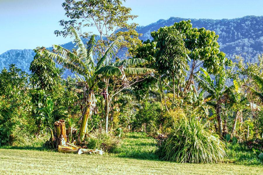 Bellingen Auction by Farmbuy.com - image 24