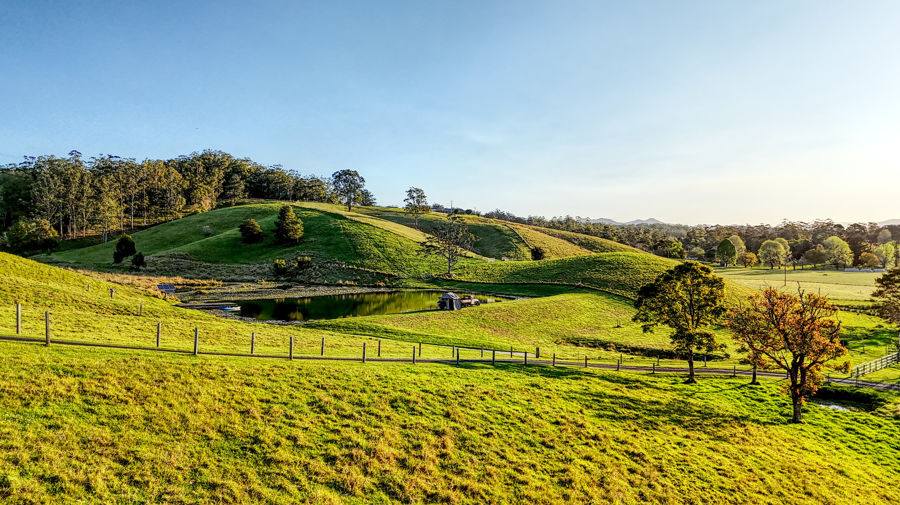Bellingen Auction by Farmbuy.com - image 19