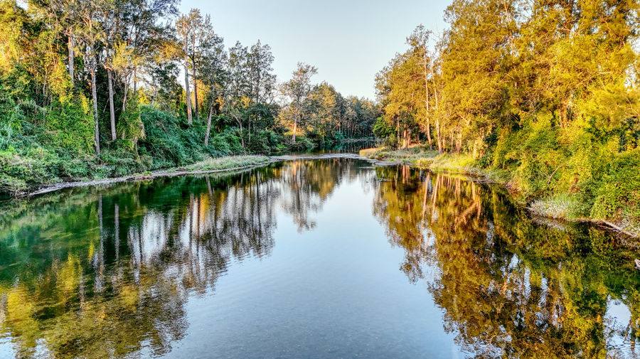 Bellingen Auction by Farmbuy.com - image 22