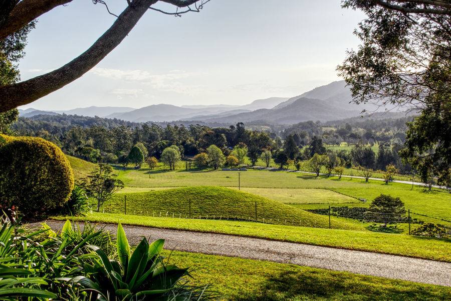 Bellingen Auction by Farmbuy.com - image 8