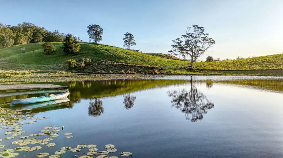 Bellingen Auction by Farmbuy.com - image 2