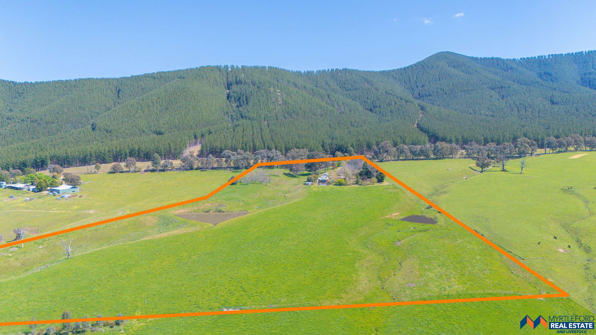 945 Carrolls Road, Myrtleford For Sale by Farmbuy.com - image 2