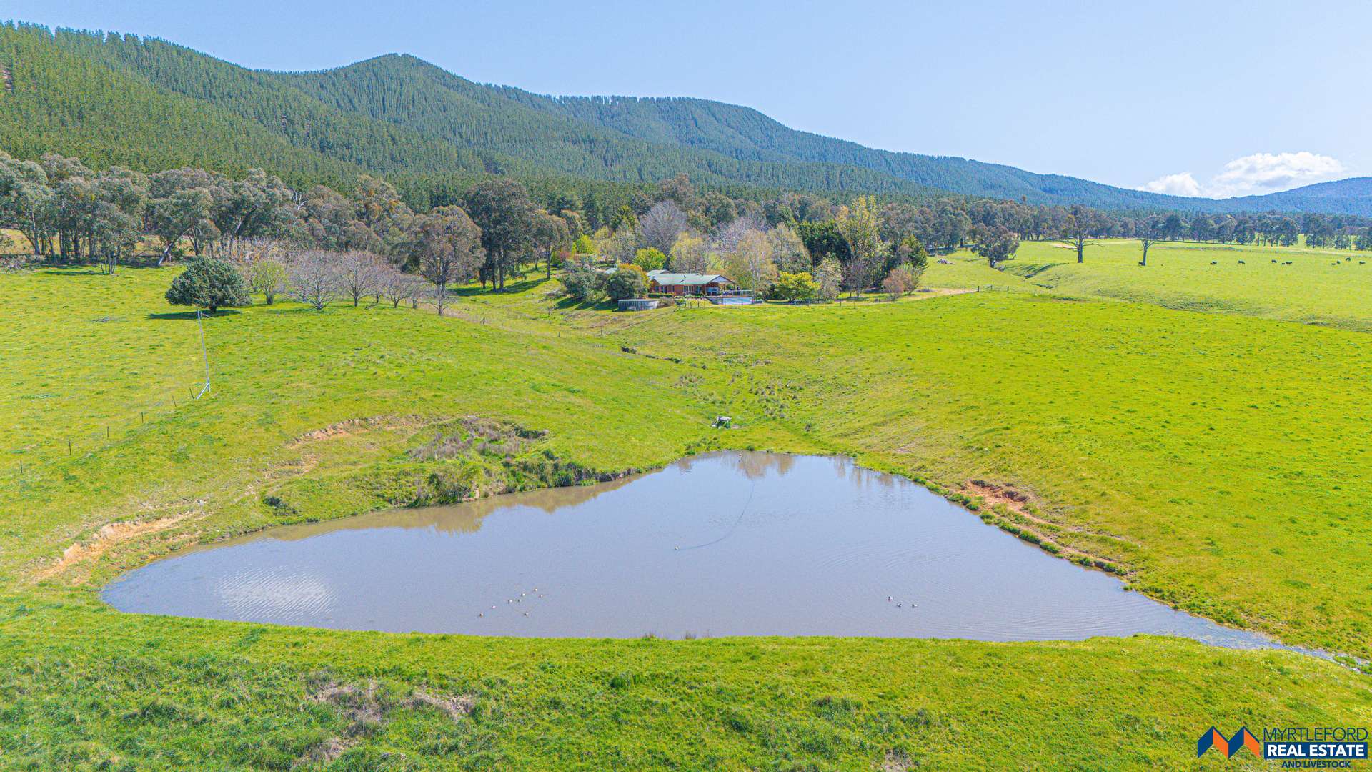 945 Carrolls Road, Myrtleford For Sale by Farmbuy.com - image 6