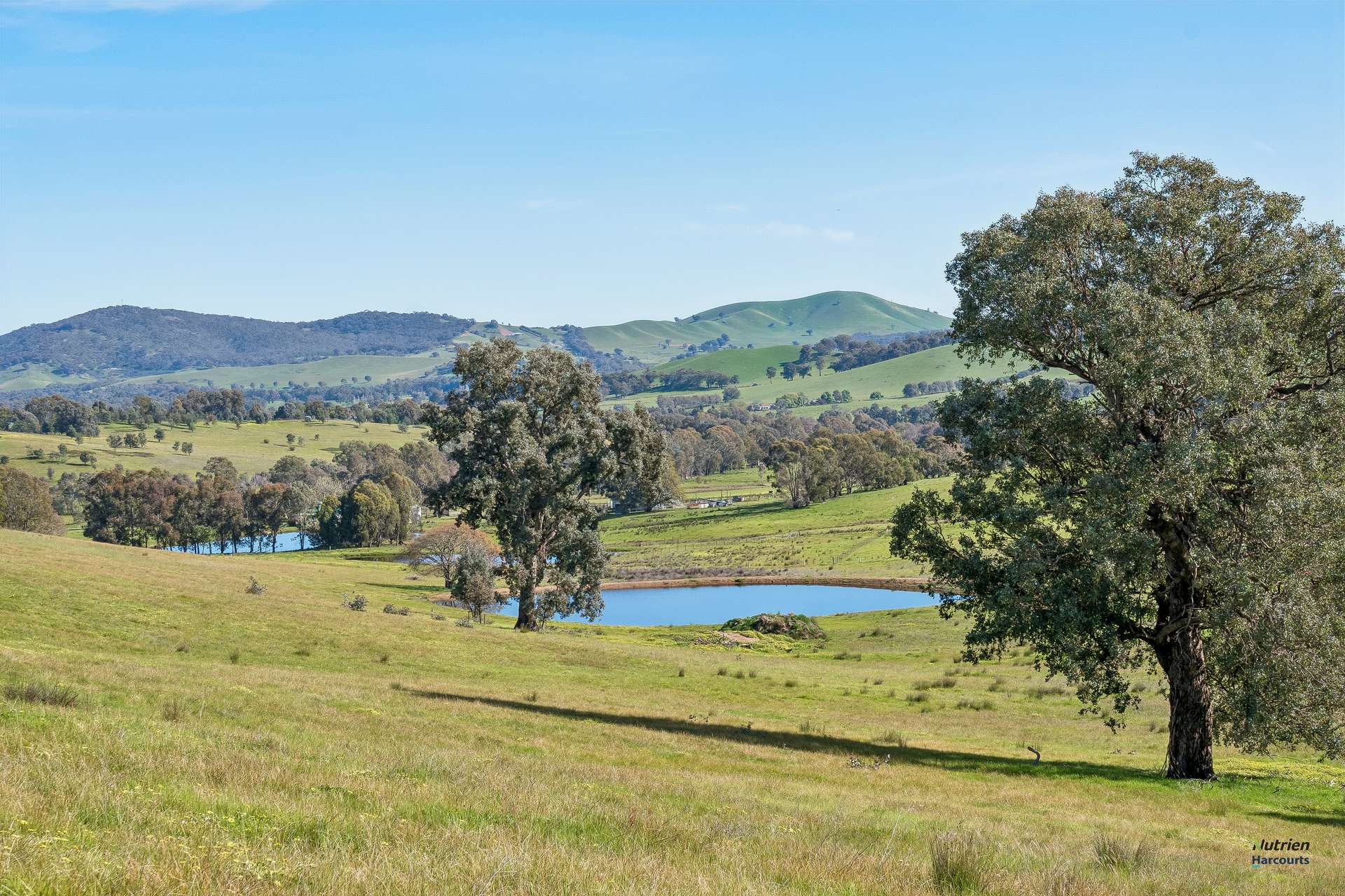 881 Upper Lurg Road, Upper Lurg For Sale by Farmbuy.com - image 1