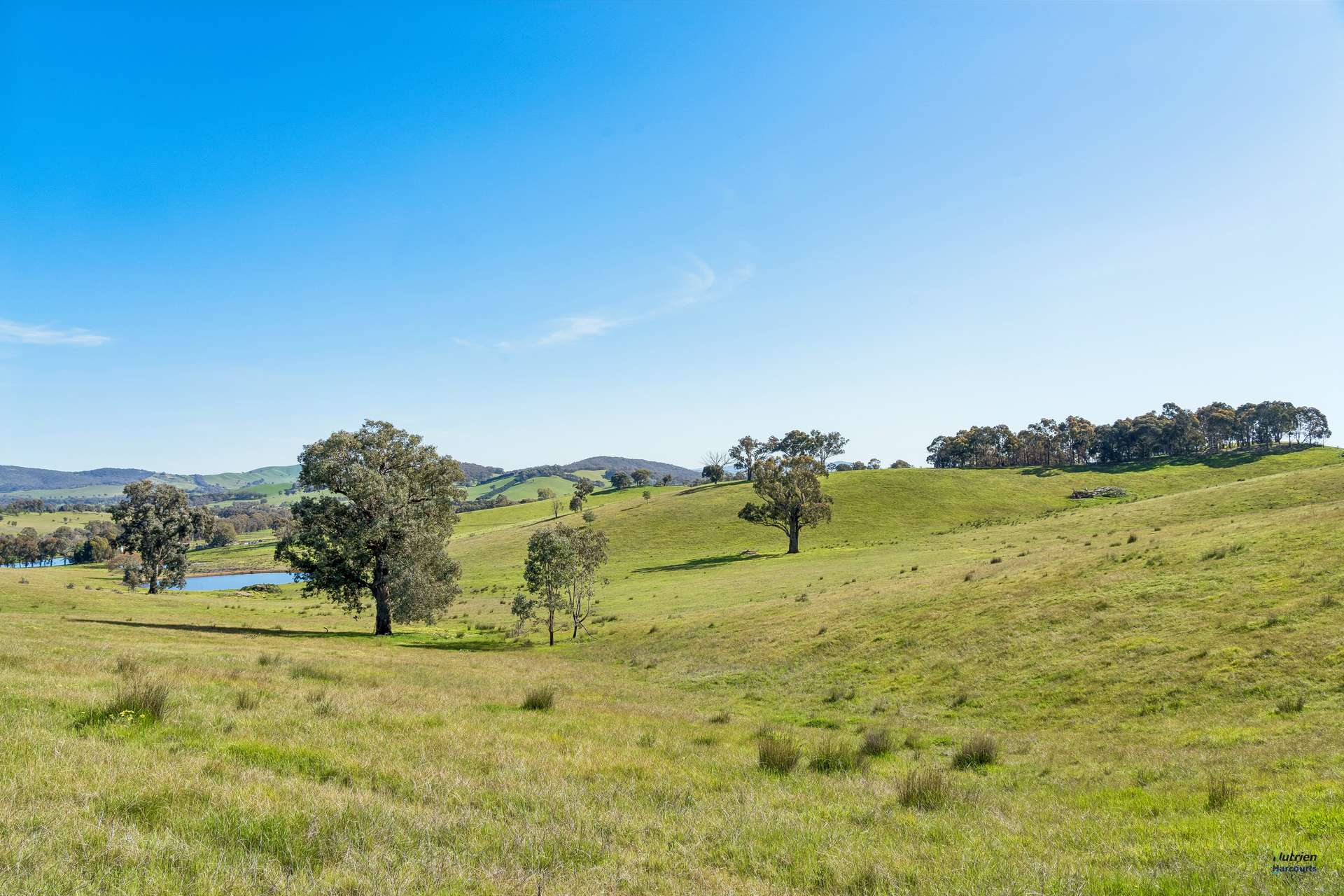 881 Upper Lurg Road, Upper Lurg For Sale by Farmbuy.com - image 18