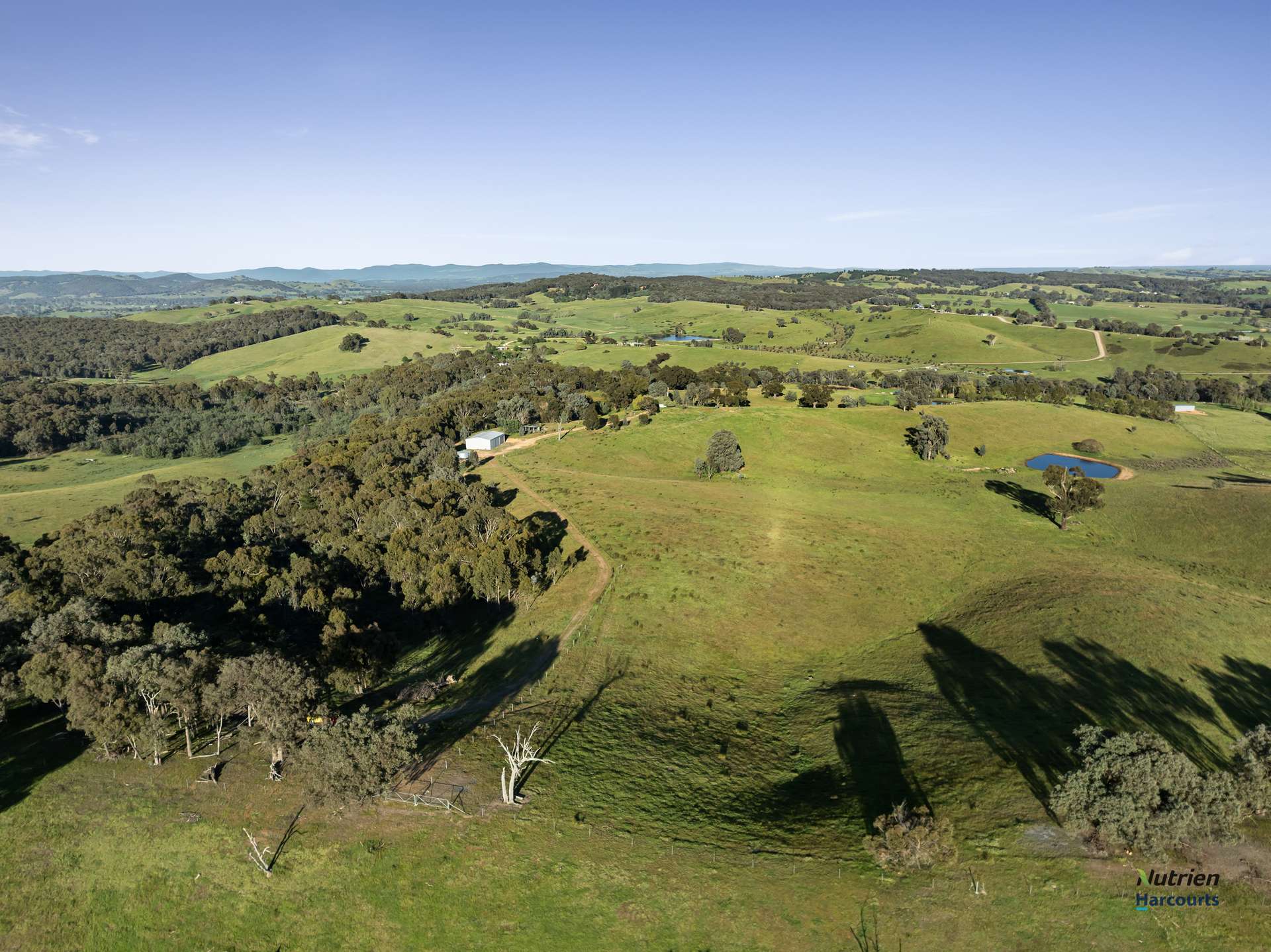 881 Upper Lurg Road, Upper Lurg For Sale by Farmbuy.com - image 4