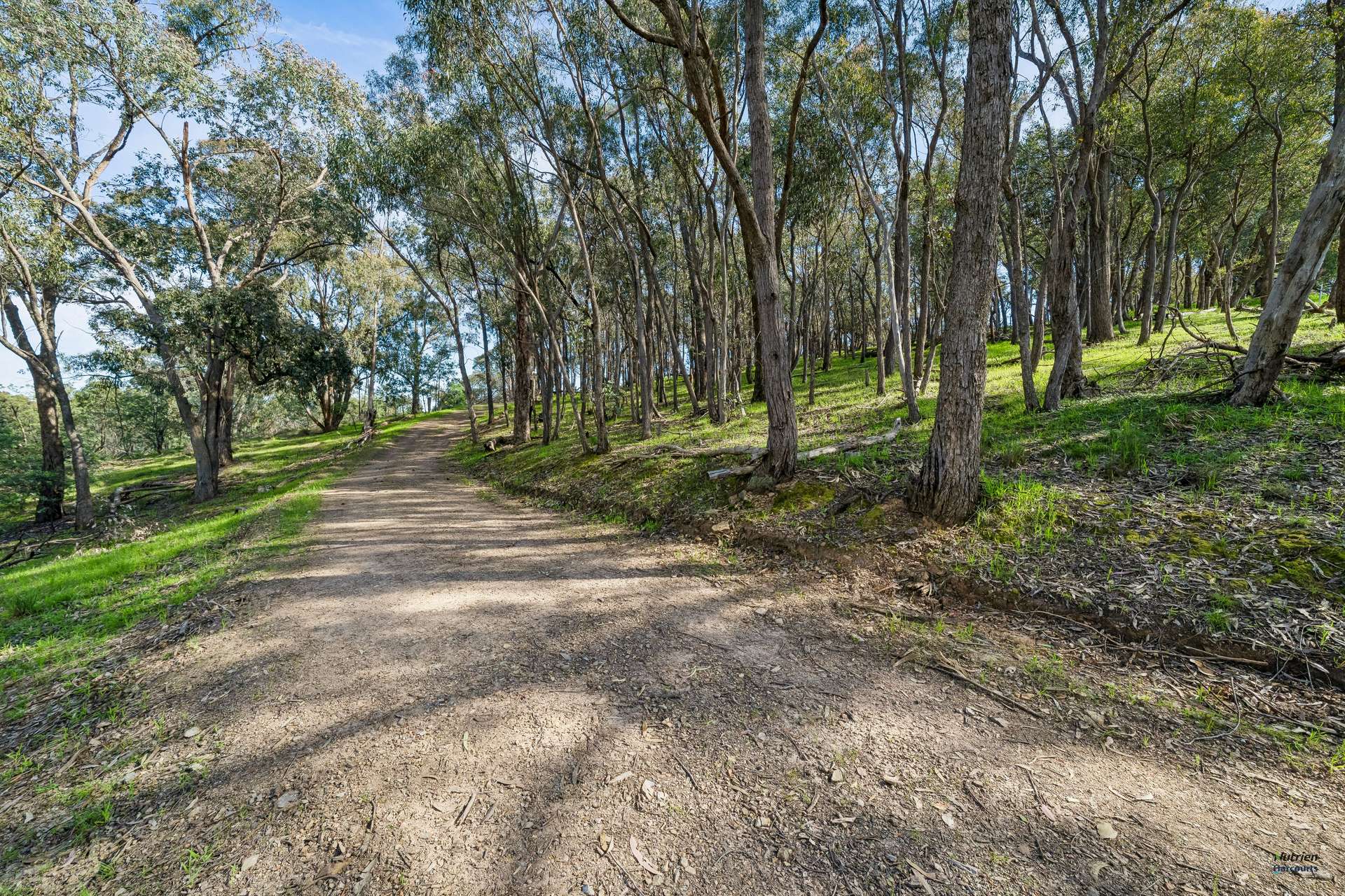 881 Upper Lurg Road, Upper Lurg For Sale by Farmbuy.com - image 9