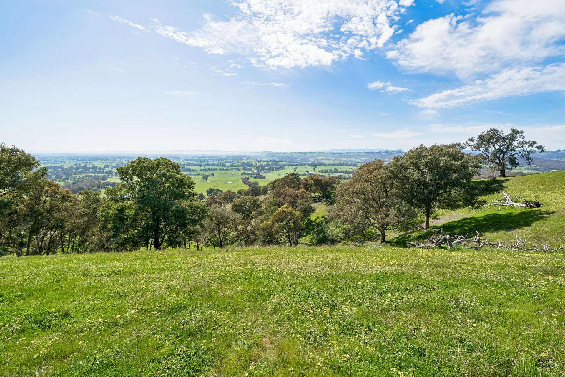 881 Upper Lurg Road, Upper Lurg For Sale by Farmbuy.com - image 5