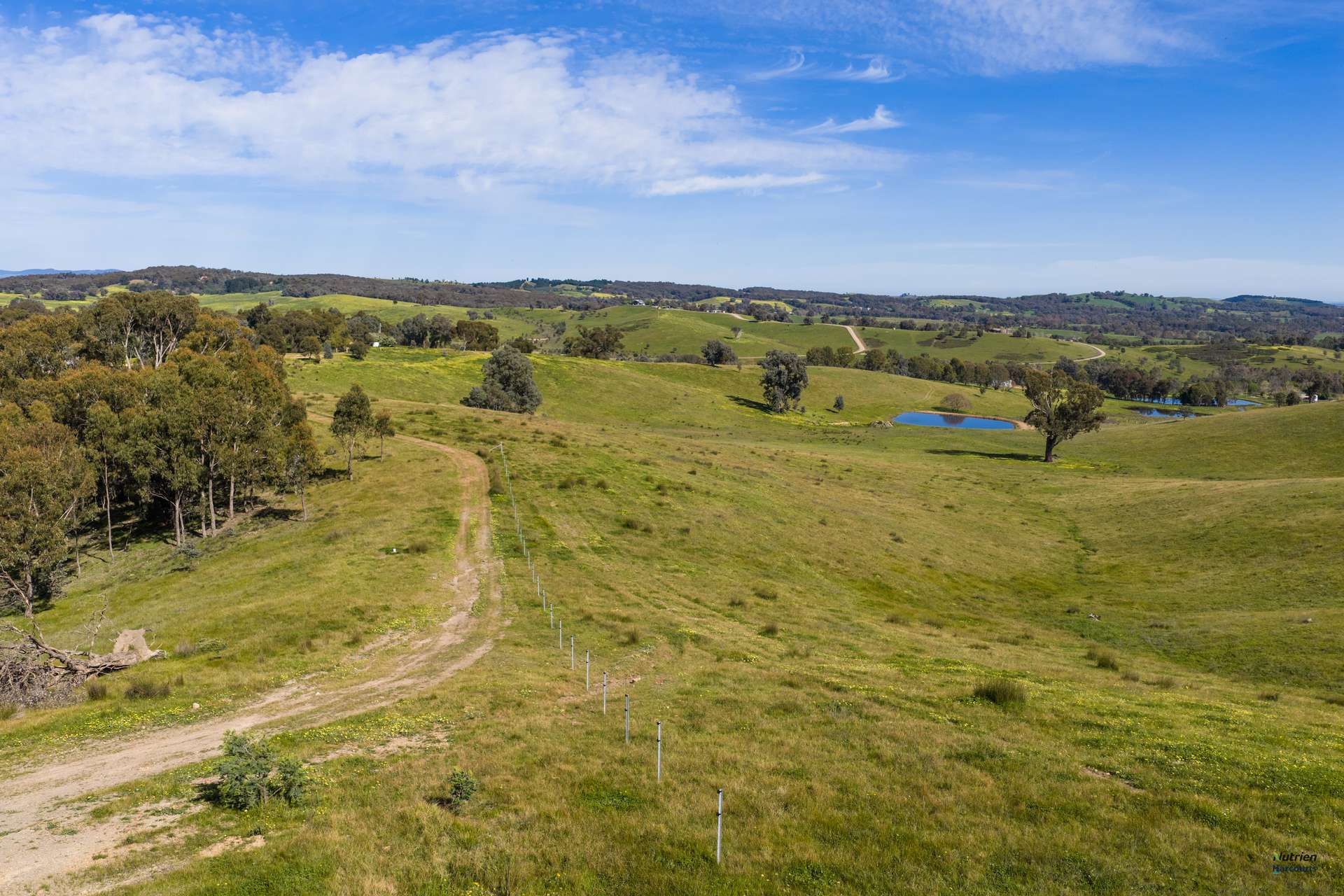 881 Upper Lurg Road, Upper Lurg For Sale by Farmbuy.com - image 19