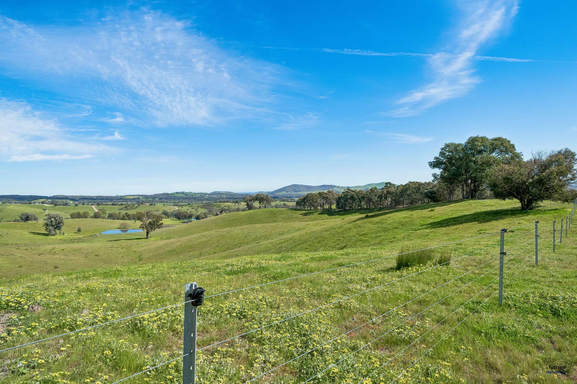 881 Upper Lurg Road, Upper Lurg For Sale by Farmbuy.com - image 7